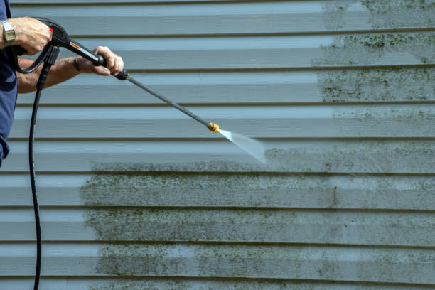 Best Residential Pressure Washing Services  in Greenfield, TN